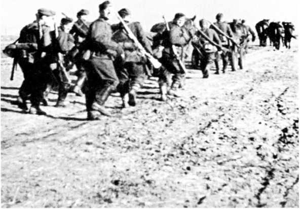 Иллюстрация к книге — Ленинградский &quot;Блицкриг&quot;. На основе военных дневников высших офицеров вермахта генерал-фельдмаршала Вильгельма Риттера фон Лееба и генерал-полковника Франца Гальдера. 1941-1942 [i_003.jpg]