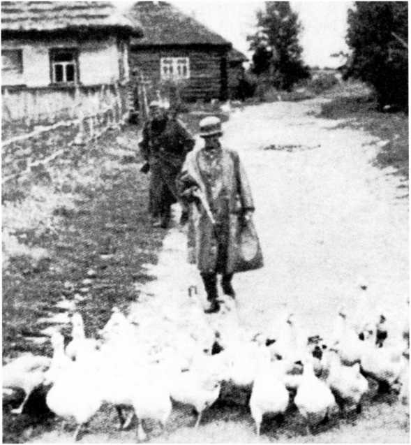 Иллюстрация к книге — Ленинградский &quot;Блицкриг&quot;. На основе военных дневников высших офицеров вермахта генерал-фельдмаршала Вильгельма Риттера фон Лееба и генерал-полковника Франца Гальдера. 1941-1942 [i_016.jpg]