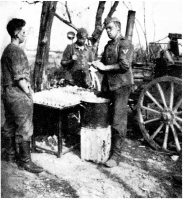 Иллюстрация к книге — Ленинградский &quot;Блицкриг&quot;. На основе военных дневников высших офицеров вермахта генерал-фельдмаршала Вильгельма Риттера фон Лееба и генерал-полковника Франца Гальдера. 1941-1942 [i_017.jpg]