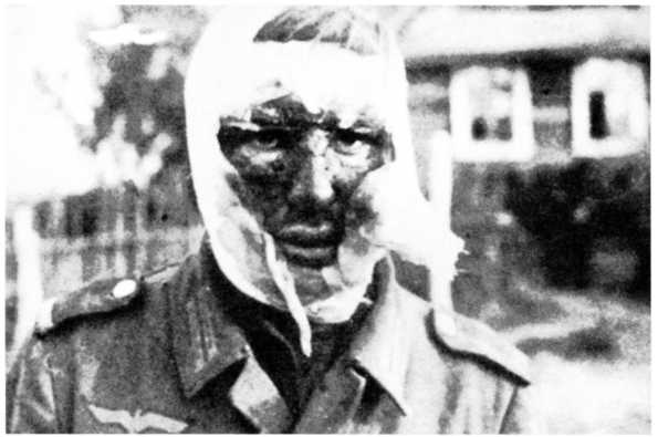 Иллюстрация к книге — Ленинградский &quot;Блицкриг&quot;. На основе военных дневников высших офицеров вермахта генерал-фельдмаршала Вильгельма Риттера фон Лееба и генерал-полковника Франца Гальдера. 1941-1942 [i_020.jpg]