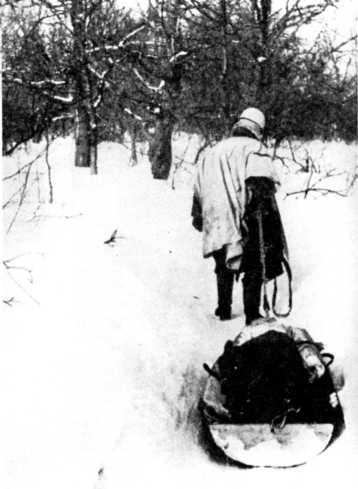 Иллюстрация к книге — Ленинградский "Блицкриг". На основе военных дневников высших офицеров вермахта генерал-фельдмаршала Вильгельма Риттера фон Лееба и генерал-полковника Франца Гальдера. 1941-1942 [i_044.jpg]