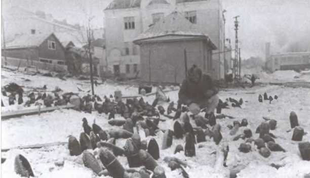 Иллюстрация к книге — Зимняя война 1939-1940 гг. [i_011.jpg]