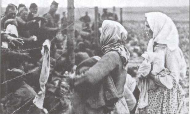 Иллюстрация к книге — Неизвестные страницы Великой Отечественной войны [i_032.jpg]