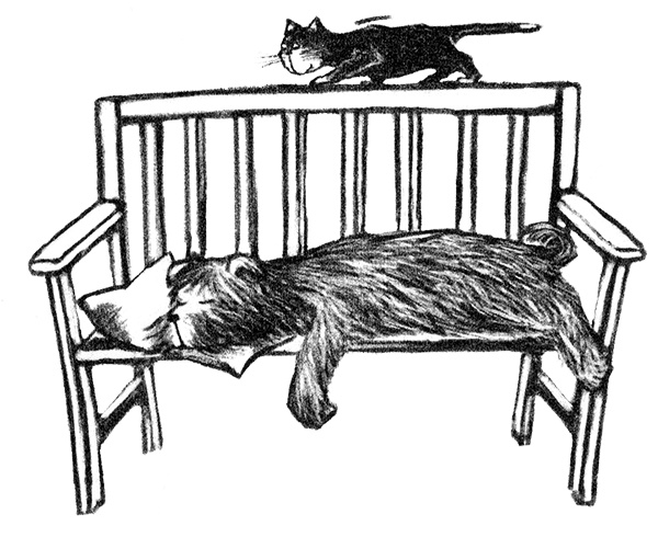 Иллюстрация к книге — Я всего лишь собака [i_004.jpg]