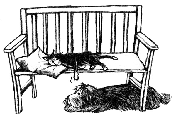 Иллюстрация к книге — Я всего лишь собака [i_006.jpg]