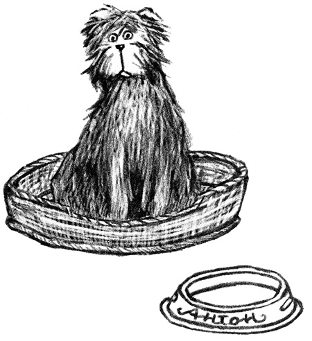 Иллюстрация к книге — Я всего лишь собака [i_008.jpg]