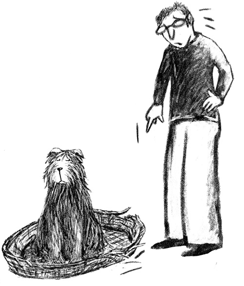 Иллюстрация к книге — Я всего лишь собака [i_015.jpg]