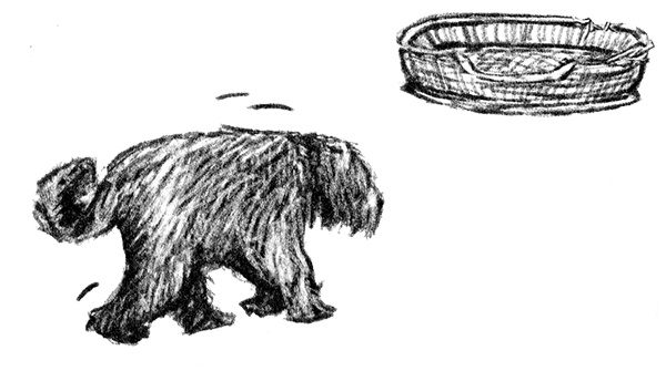 Иллюстрация к книге — Я всего лишь собака [i_020.jpg]