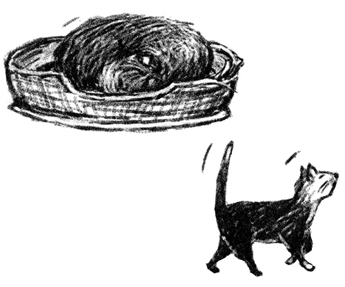 Иллюстрация к книге — Я всего лишь собака [i_021.jpg]