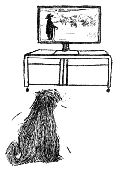 Иллюстрация к книге — Я всего лишь собака [i_022.jpg]