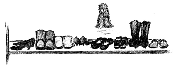 Иллюстрация к книге — Я всего лишь собака [i_023.jpg]