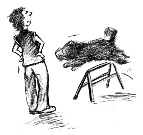 Иллюстрация к книге — Я всего лишь собака [i_028.jpg]