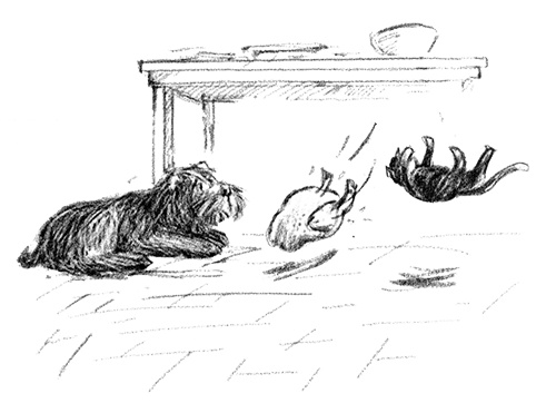 Иллюстрация к книге — Я всего лишь собака [i_038.jpg]