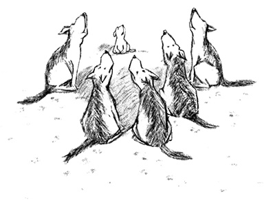 Иллюстрация к книге — Я всего лишь собака [i_042.jpg]