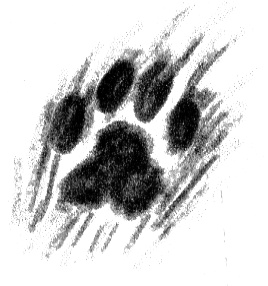 Иллюстрация к книге — Я всего лишь собака [i_045.jpg]