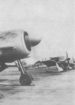 Иллюстрация к книге — Черный крест и красная звезда. Воздушная война над Россией. 1941-1944 [i_146.jpg]