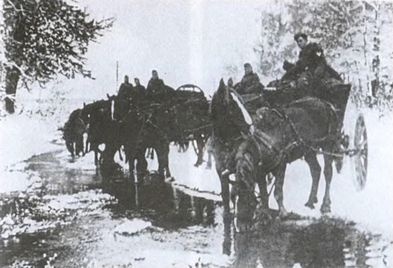 Иллюстрация к книге — Котел смерти в Курляндии. Хроника сражений группы армий &quot;Север&quot; 1944-1945 [i_071.jpg]