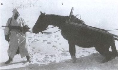 Иллюстрация к книге — Котел смерти в Курляндии. Хроника сражений группы армий &quot;Север&quot; 1944-1945 [i_072.jpg]