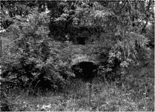 Иллюстрация к книге — Брестская крепость [i_027.jpg]