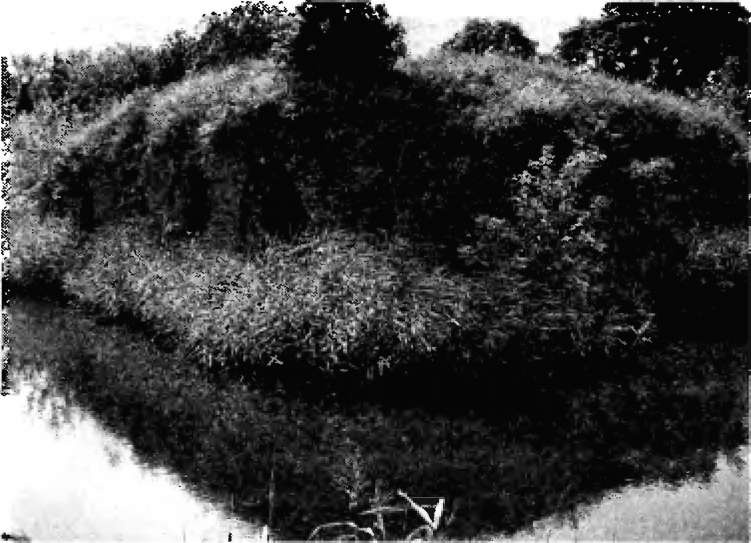 Иллюстрация к книге — Брестская крепость [i_028.jpg]