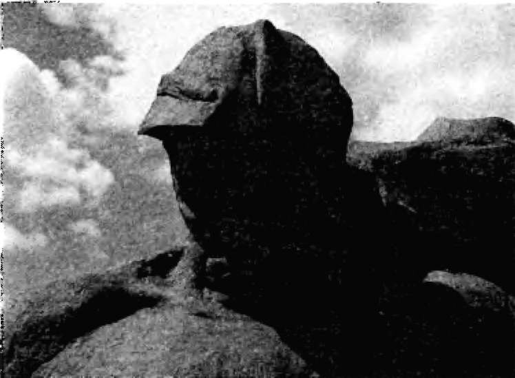 Иллюстрация к книге — Брестская крепость [i_115.jpg]