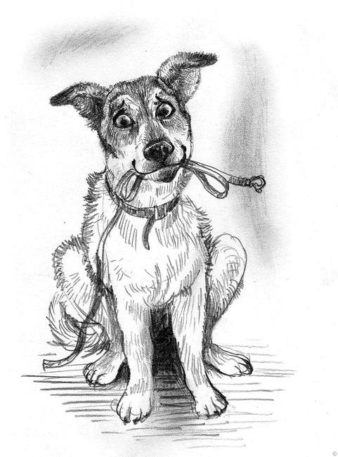 Иллюстрация к книге — Собаки и мы. Записки дрессировщика [ris05.jpg]