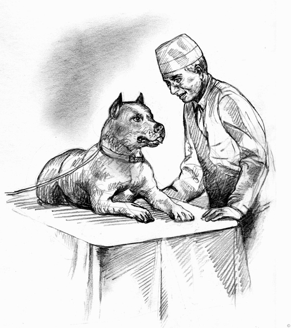 Иллюстрация к книге — Собаки и мы. Записки дрессировщика [ris06.jpg]