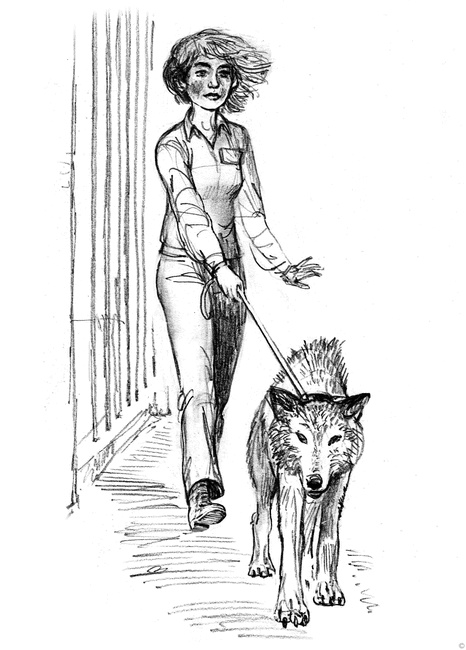 Иллюстрация к книге — Собаки и мы. Записки дрессировщика [ris07.jpg]