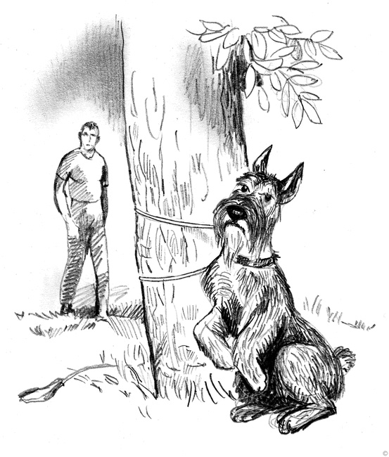 Иллюстрация к книге — Собаки и мы. Записки дрессировщика [ris11.jpg]