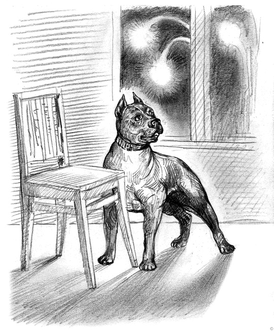 Иллюстрация к книге — Собаки и мы. Записки дрессировщика [ris12_.jpg]