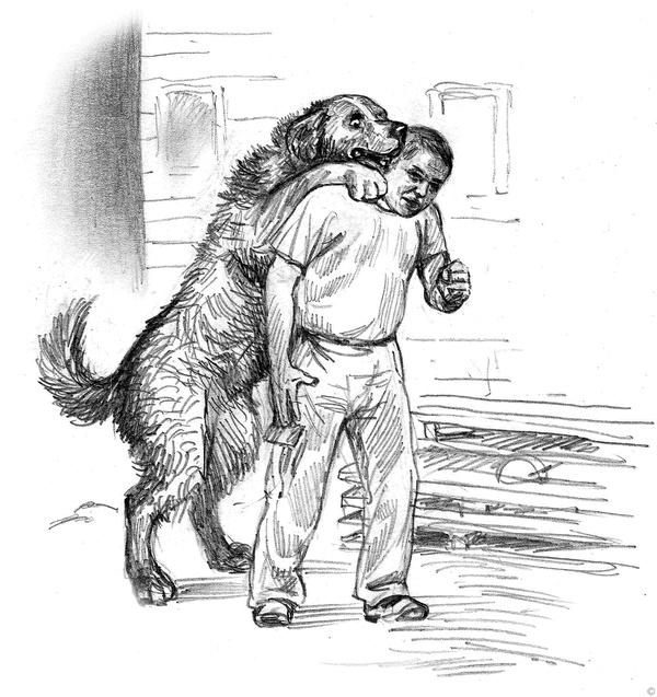 Иллюстрация к книге — Собаки и мы. Записки дрессировщика [ris16_.jpg]