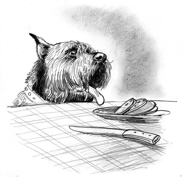 Иллюстрация к книге — Собаки и мы. Записки дрессировщика [ris17_.jpg]