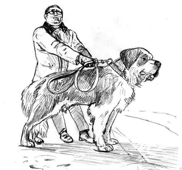 Иллюстрация к книге — Собаки и мы. Записки дрессировщика [ris18_.jpg]