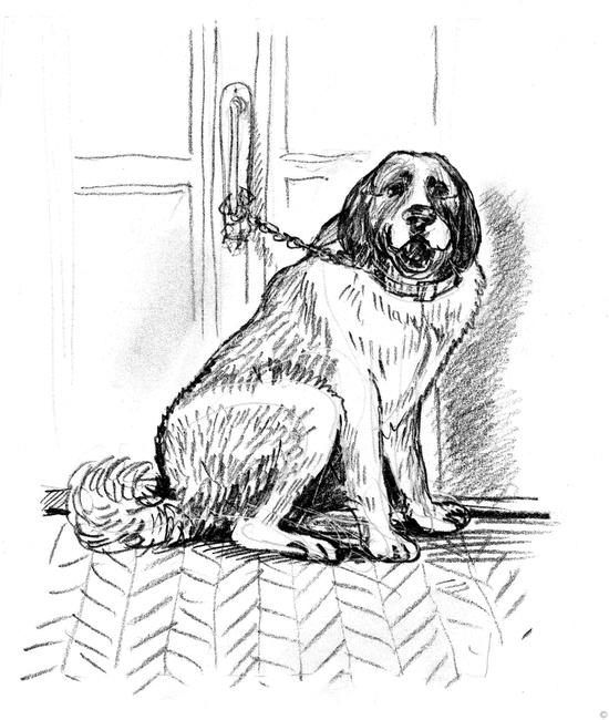 Иллюстрация к книге — Собаки и мы. Записки дрессировщика [ris23.jpg]