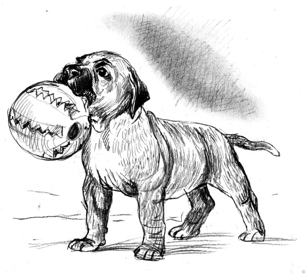 Иллюстрация к книге — Собаки и мы. Записки дрессировщика [ris28_.jpg]