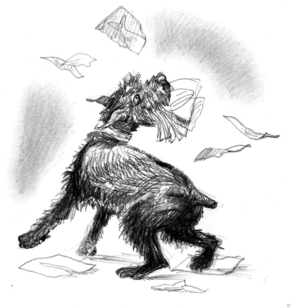 Иллюстрация к книге — Собаки и мы. Записки дрессировщика [ris29_.jpg]