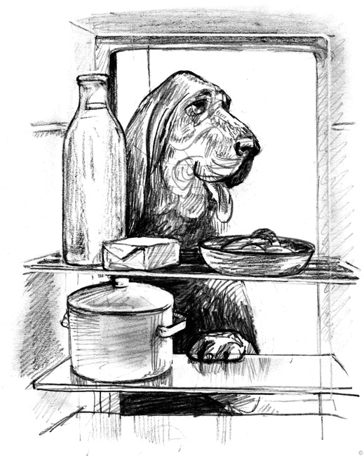 Иллюстрация к книге — Собаки и мы. Записки дрессировщика [ris30_.jpg]