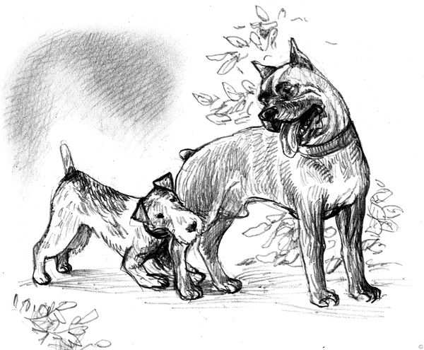 Иллюстрация к книге — Собаки и мы. Записки дрессировщика [ris31.jpg]