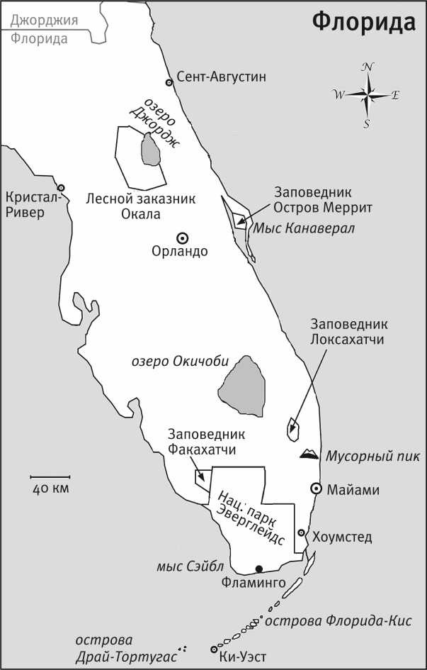 Иллюстрация к книге — Песни драконов. Любовь и приключения в мире крокодилов и прочих динозавровых родственников [i_005.jpg]
