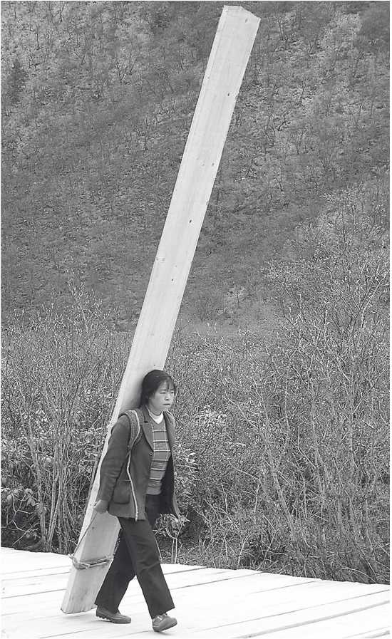 Иллюстрация к книге — Песни драконов. Любовь и приключения в мире крокодилов и прочих динозавровых родственников [i_009.jpg]