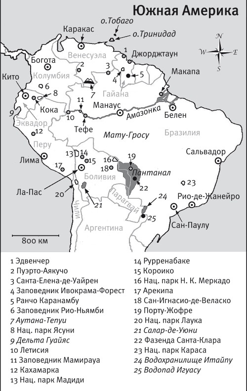 Иллюстрация к книге — Песни драконов. Любовь и приключения в мире крокодилов и прочих динозавровых родственников [i_011.jpg]