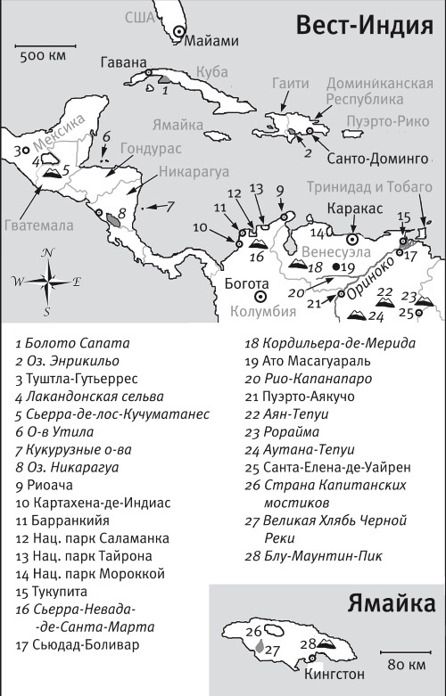 Иллюстрация к книге — Песни драконов. Любовь и приключения в мире крокодилов и прочих динозавровых родственников [i_016.jpg]