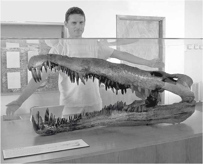 Иллюстрация к книге — Песни драконов. Любовь и приключения в мире крокодилов и прочих динозавровых родственников [i_020.jpg]