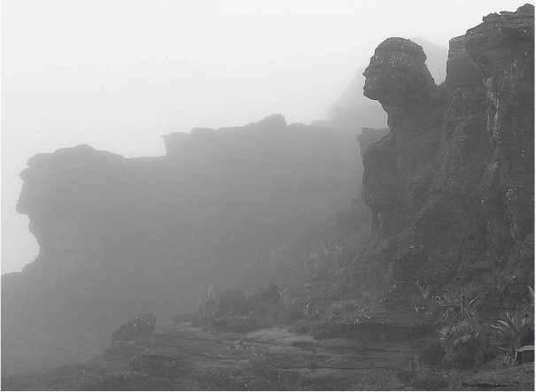 Иллюстрация к книге — Песни драконов. Любовь и приключения в мире крокодилов и прочих динозавровых родственников [i_032.jpg]