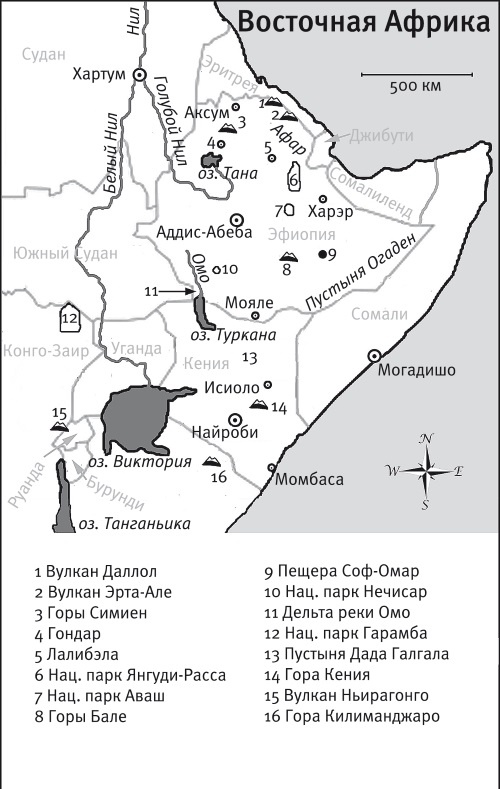 Иллюстрация к книге — Песни драконов. Любовь и приключения в мире крокодилов и прочих динозавровых родственников [i_048.jpg]