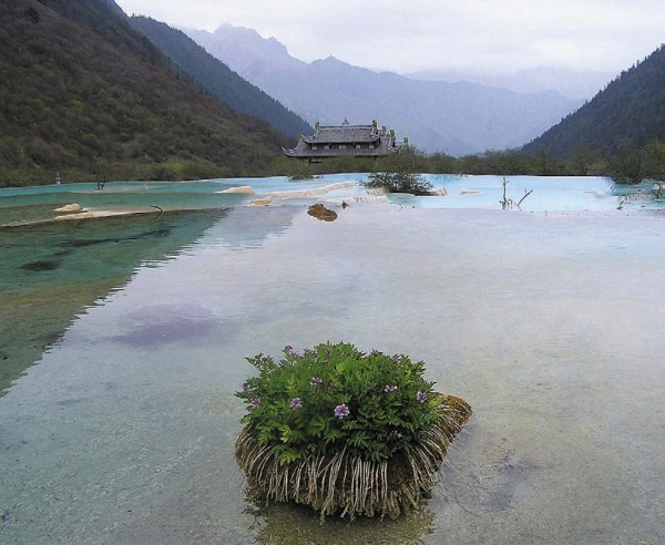 Иллюстрация к книге — Песни драконов. Любовь и приключения в мире крокодилов и прочих динозавровых родственников [i_078.jpg]