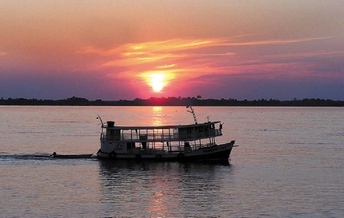 Иллюстрация к книге — Песни драконов. Любовь и приключения в мире крокодилов и прочих динозавровых родственников [i_093.jpg]