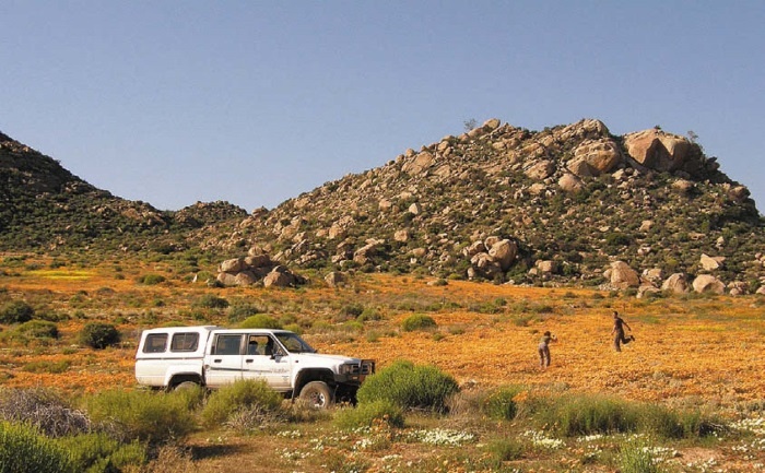 Иллюстрация к книге — Песни драконов. Любовь и приключения в мире крокодилов и прочих динозавровых родственников [i_110.jpg]