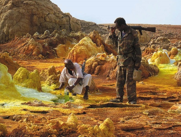 Иллюстрация к книге — Песни драконов. Любовь и приключения в мире крокодилов и прочих динозавровых родственников [i_125.jpg]