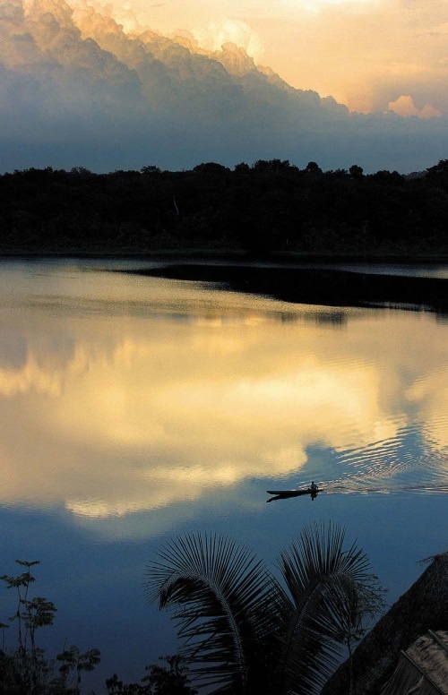 Иллюстрация к книге — Песни драконов. Любовь и приключения в мире крокодилов и прочих динозавровых родственников [i_145.jpg]